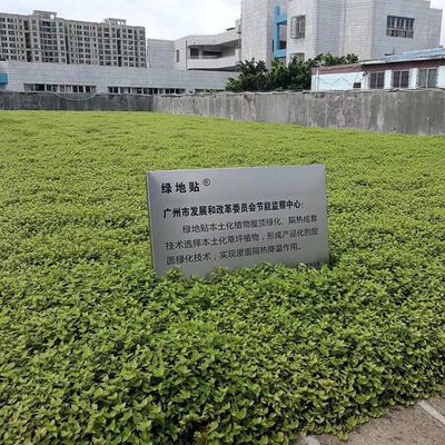 Vierkante kunststof tuin bloempot planten met Hdpe materiaal en niet-gecoat afwerking
