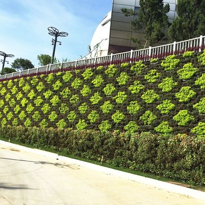 UV Protect Groen Muursysteem Verticale Tuinpot Planter Toren Liner Achteruit voor tuinen