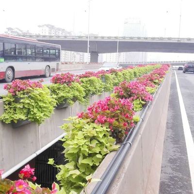 Grote witte plantage met extra doos