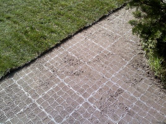 Grass Paver Grid voor Paard Paddock Traditioneel ontwerp en gratis onderdelen inbegrepen