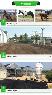333x333x50mm Plastic Grass Lawn Floor Grid HDPE Paving