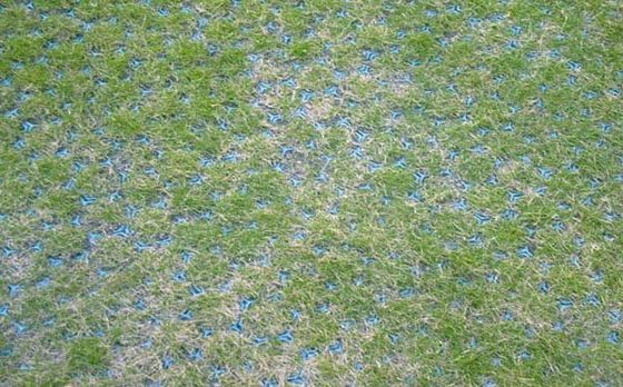 Hotelparkeeroplossing Groen grindvast raster met versterkt HDPE-materiaal