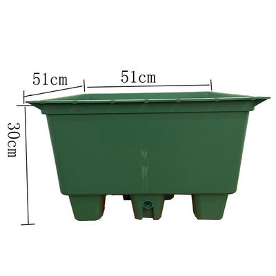 Vierkante vorm Sedum Groene dakbak voor Plastic Grote tuinplanter en Groene Plant
