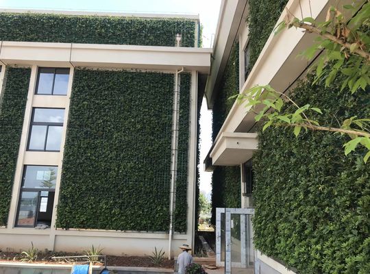 Gepersonaliseerde groene muur PP Sterke verticale plastic bloempot voor binnen/tuin decoratie