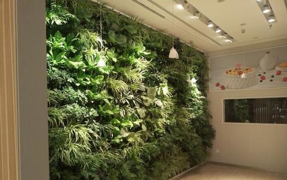 Gepersonaliseerde groene muur PP Sterke verticale plastic bloempot voor binnen/tuin decoratie