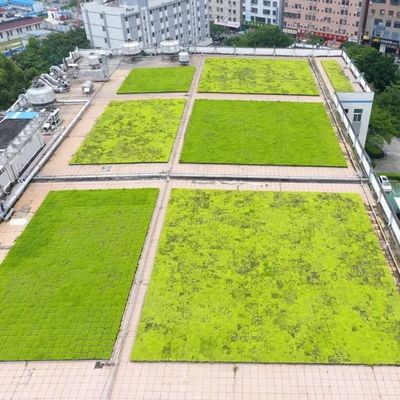 Makkelijk te monteren plastic tuin bloempot voor decoratieve en vergroening van de tuin