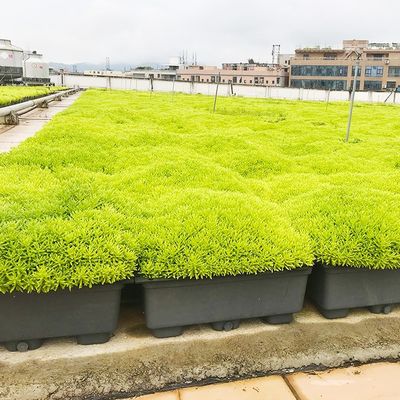 Makkelijk te monteren plastic tuin bloempot voor decoratieve en vergroening van de tuin