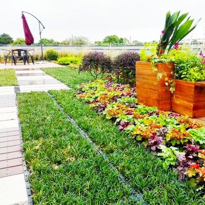 Plastic Square Assemble Groene dakbaksystemen voor duurzame plantenoplossingen