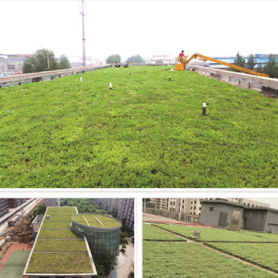 PP-materiaal Decoratieve tuinbloempot voor modulaire groene dakbakken