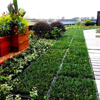 Vierkante vorm Groene dakmodules PP Plastic materiaal Tuin Makkelijke installatie Plantbak