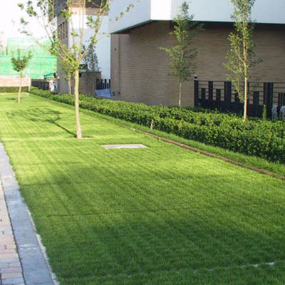 Groene HDPE-doorlaatbare paviljoenroosters voor een gemakkelijke aanleg op de oprit van een verpakkingslocatie